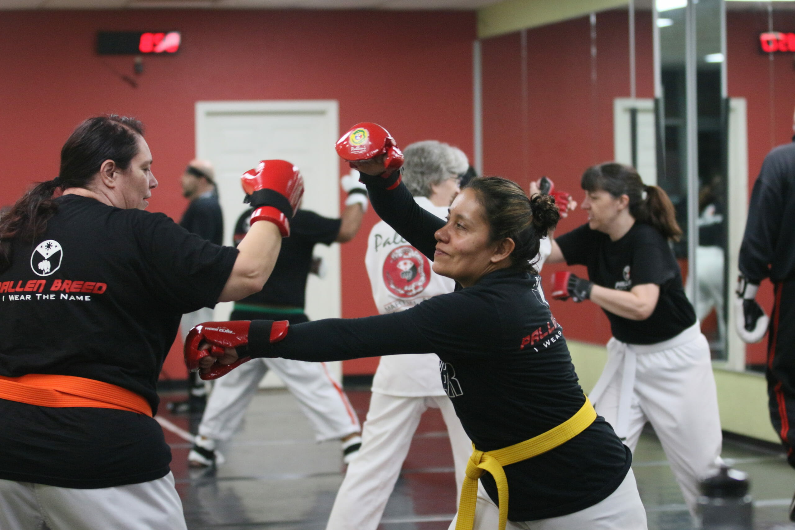 Pallen's Martial Arts San Leandro Martial Arts & Fitness